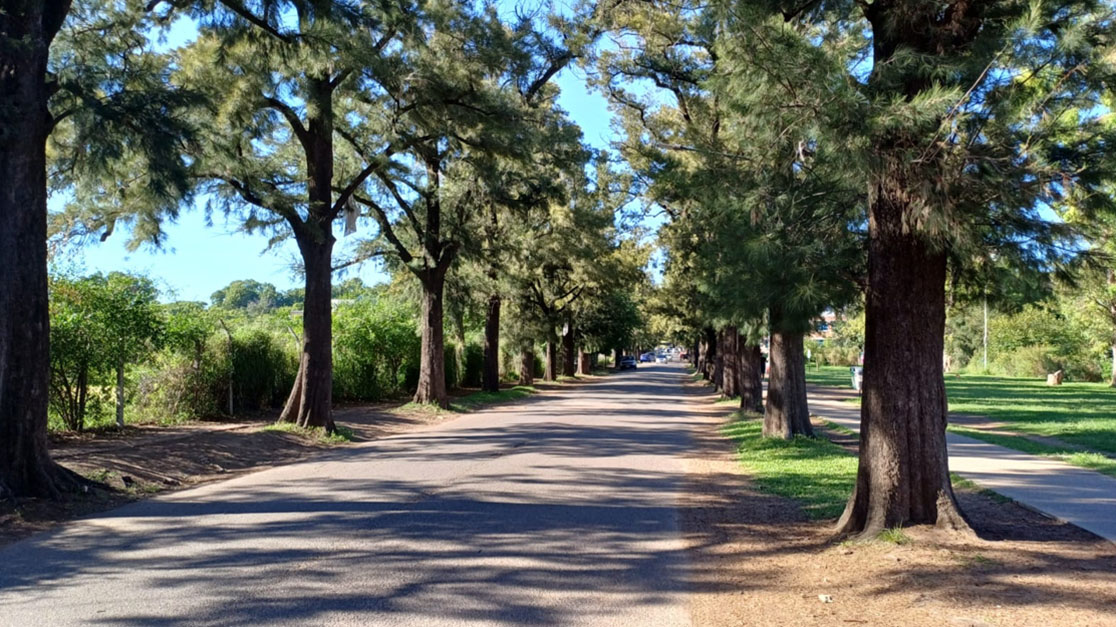 Parque Agronomía