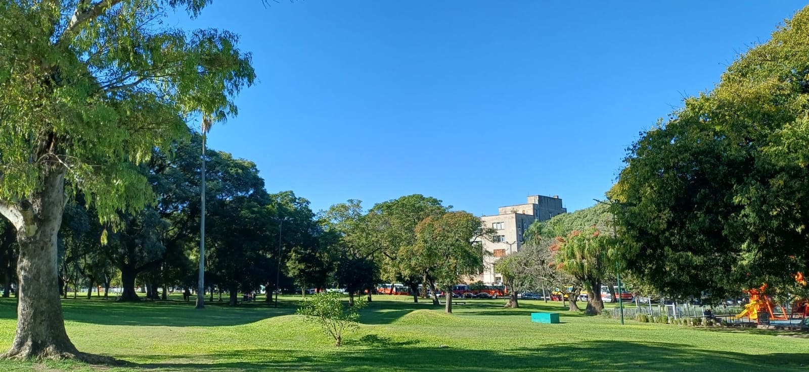 Imagen de galería 1