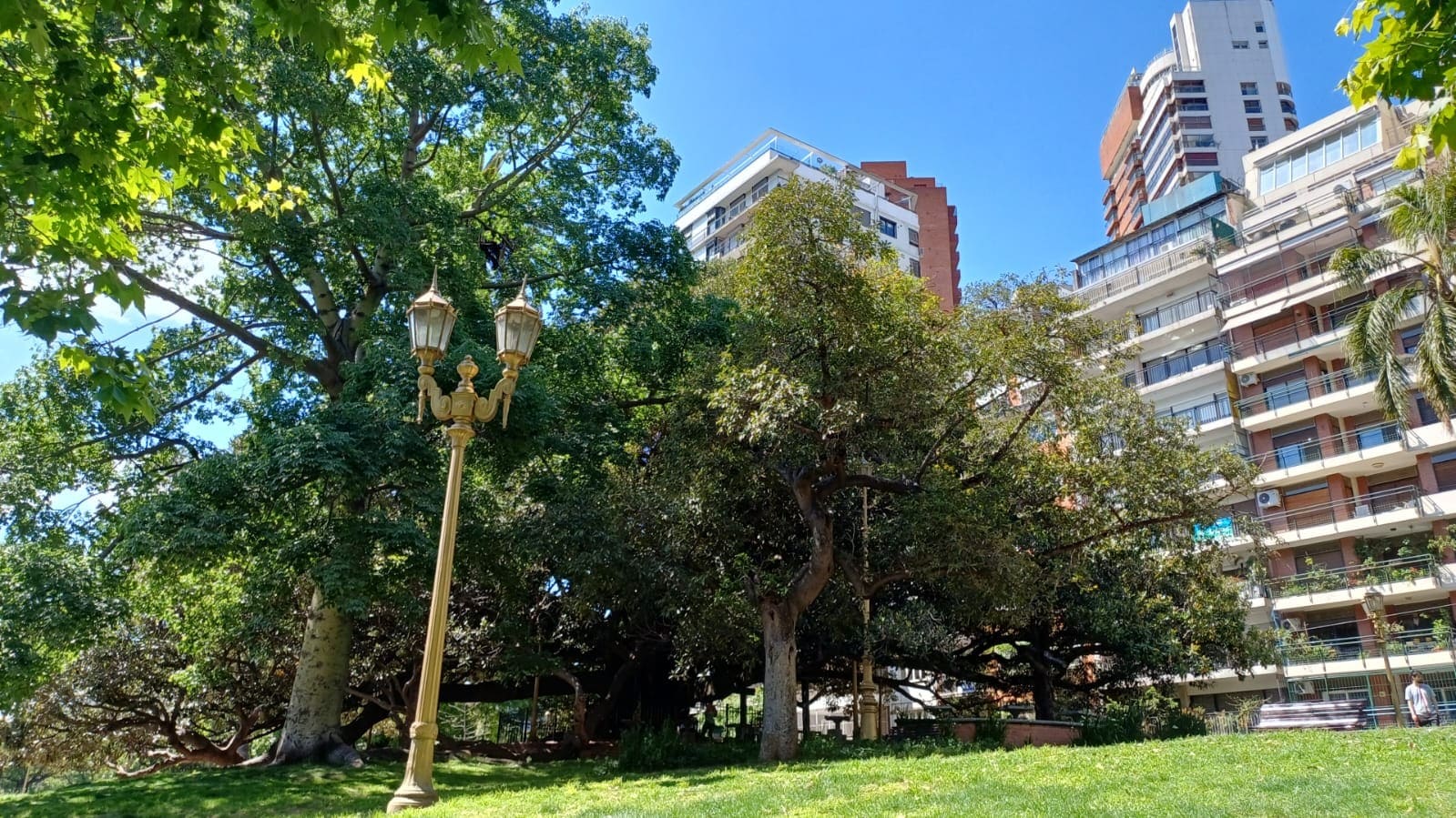 Imagen de galería 1