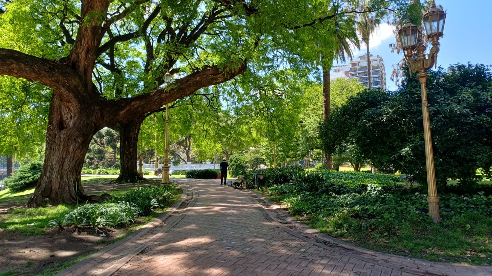 Imagen de galería 1