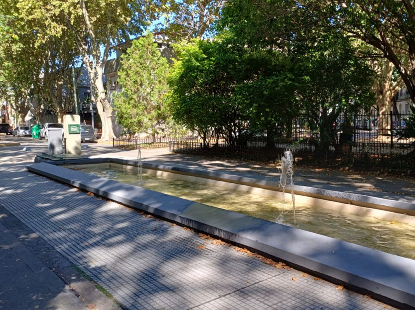 Imagen de galería