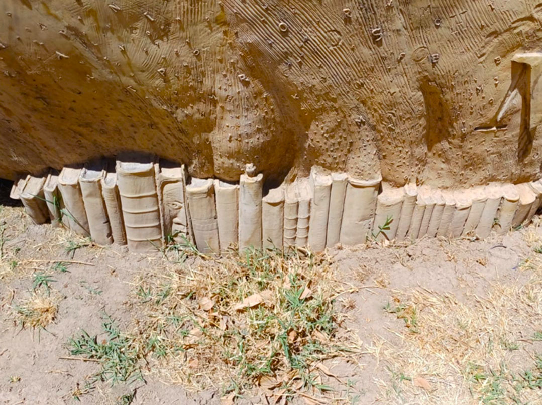 El Sueño del Lector