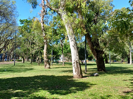 Plaza Federación Rusa