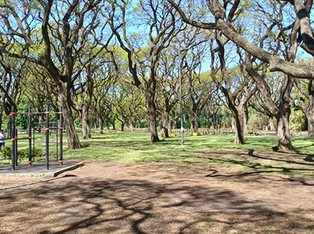 Plaza Ing. Félix Aguilar