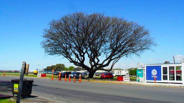 Plazoleta Comodoro Pedro Zanni