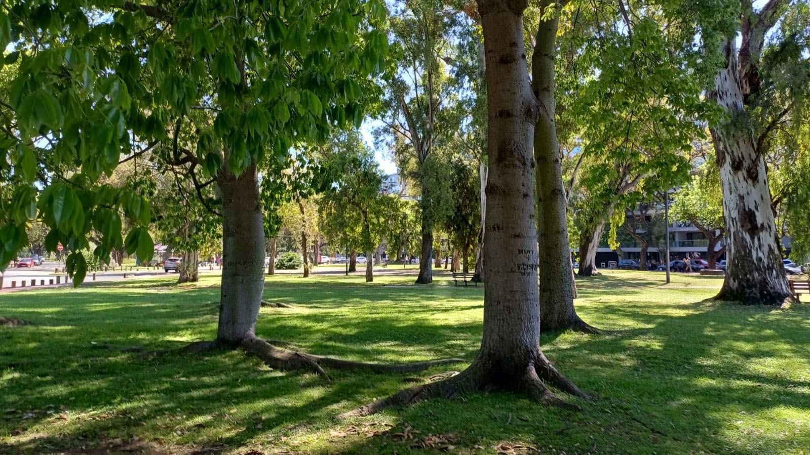Plaza República de México