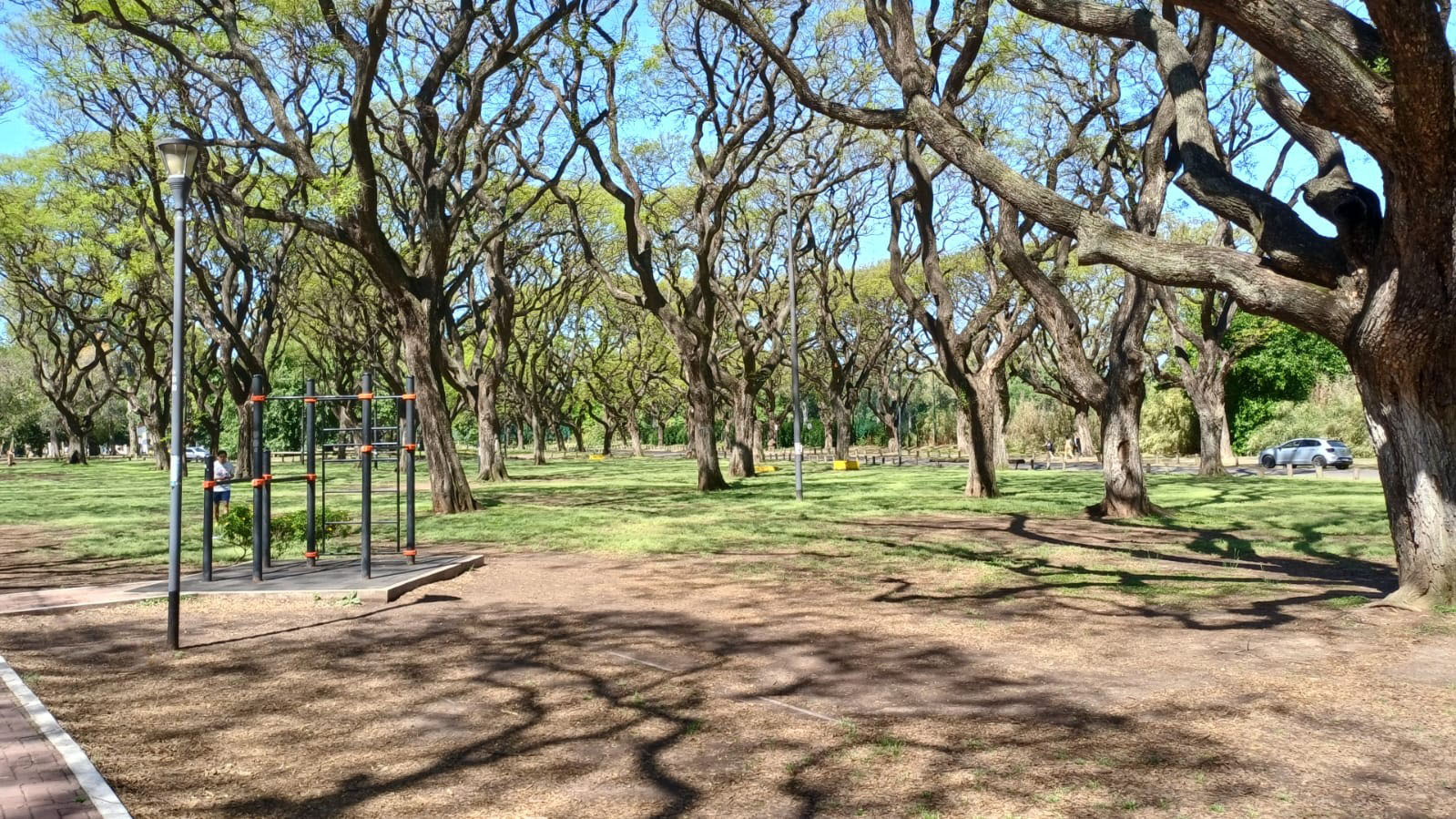 Plaza Ing. Felíx Aguilar