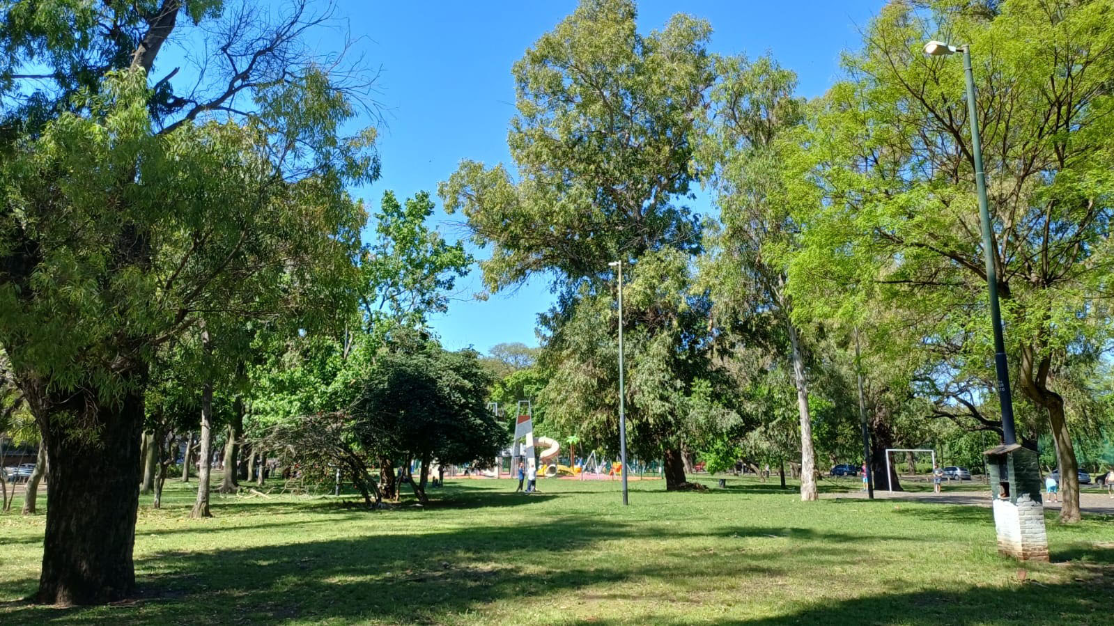 Plaza Federación de Rusia