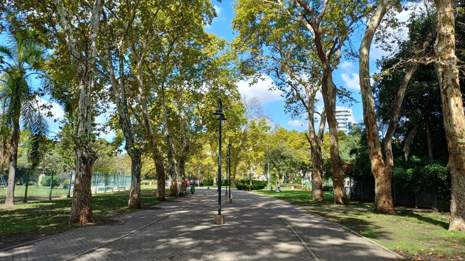 Imagen de galería 1