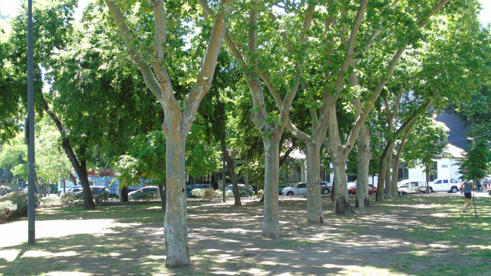 Plazoleta Federico Froebel