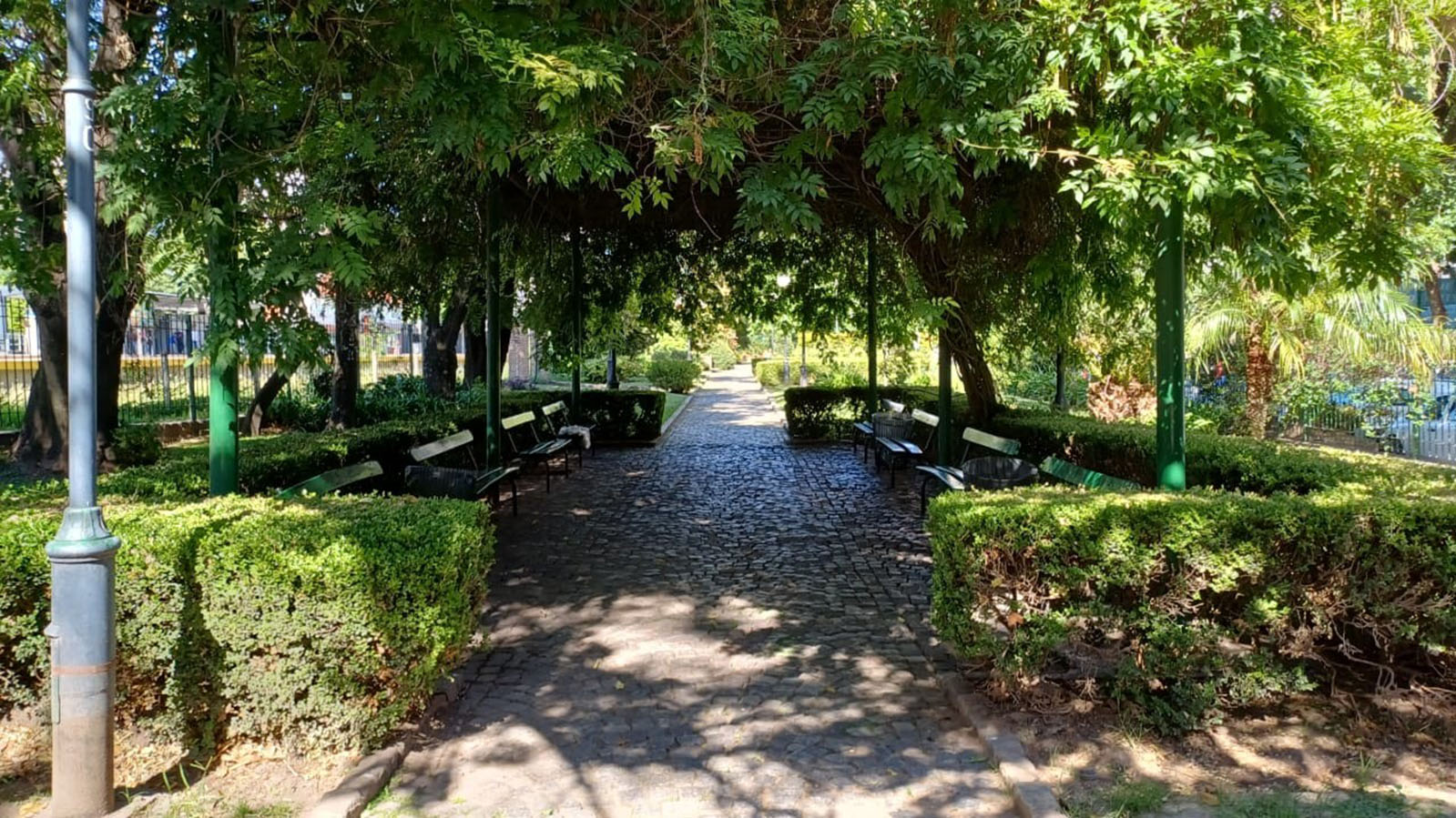 Paseo de la Vida: Dr. René Favaloro