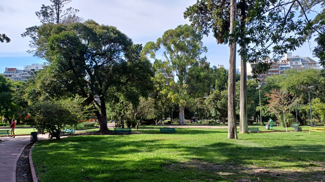Vista