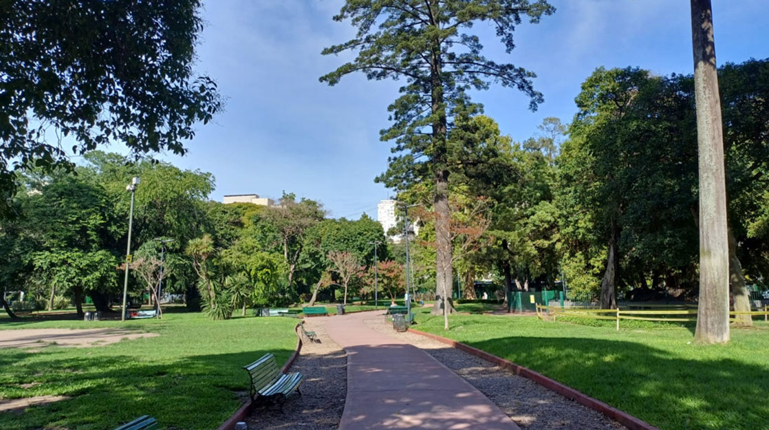 Vista