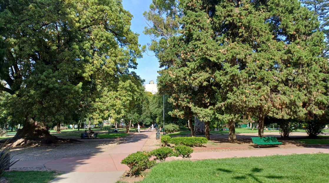 Vista