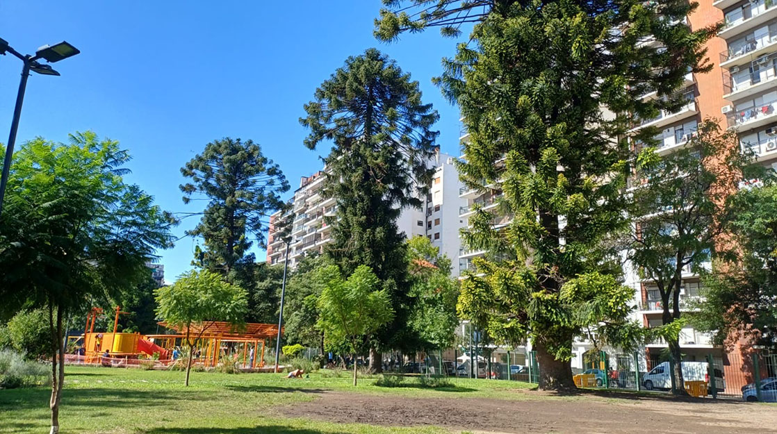 Imagen de galería 1