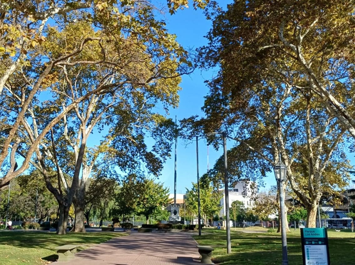 Homenaje a la Bandera