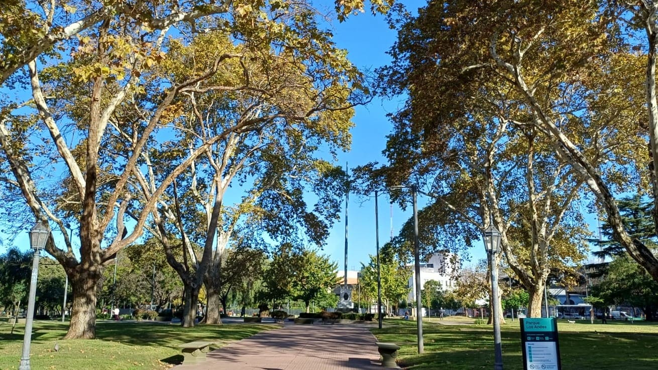 Imagen de galería 1