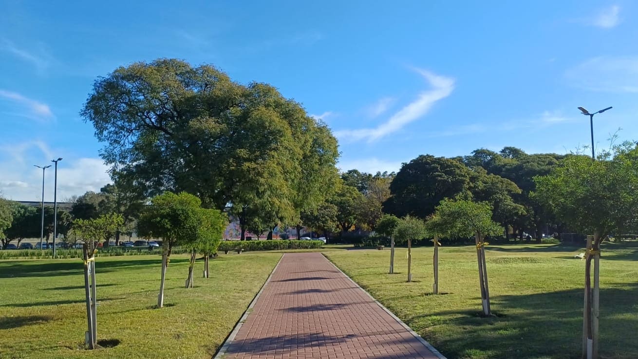 Imagen de galería 1