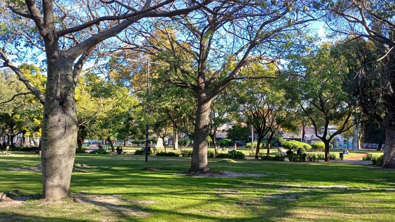 Imagen de galería 1