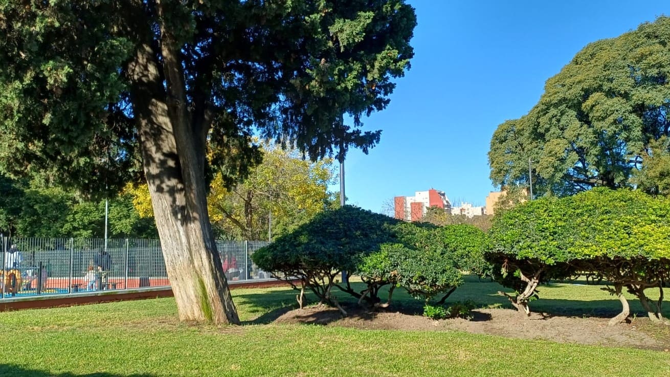 Imagen de galería 1