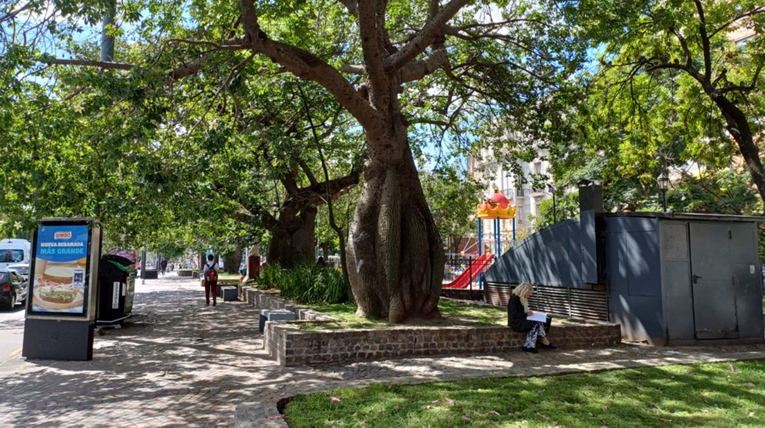 Imagen de galería