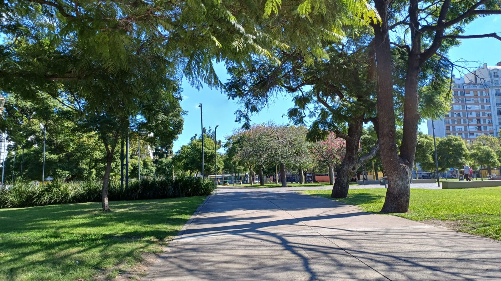 Plaza de la Constitución