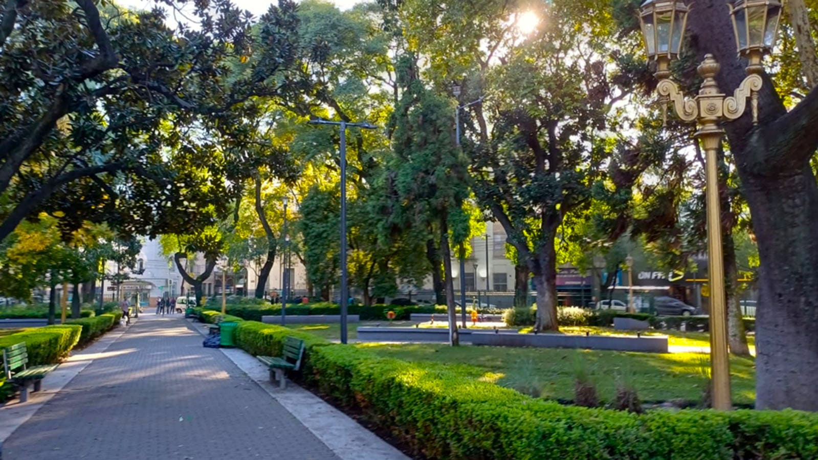 Imagen de galería 1