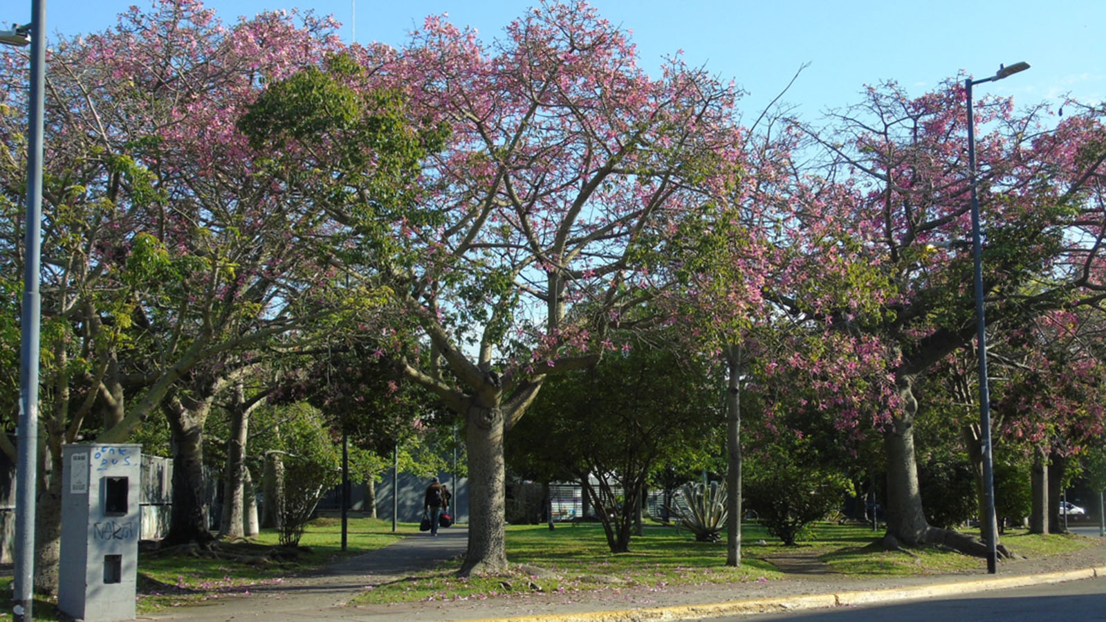 Plaza de los Virreyes