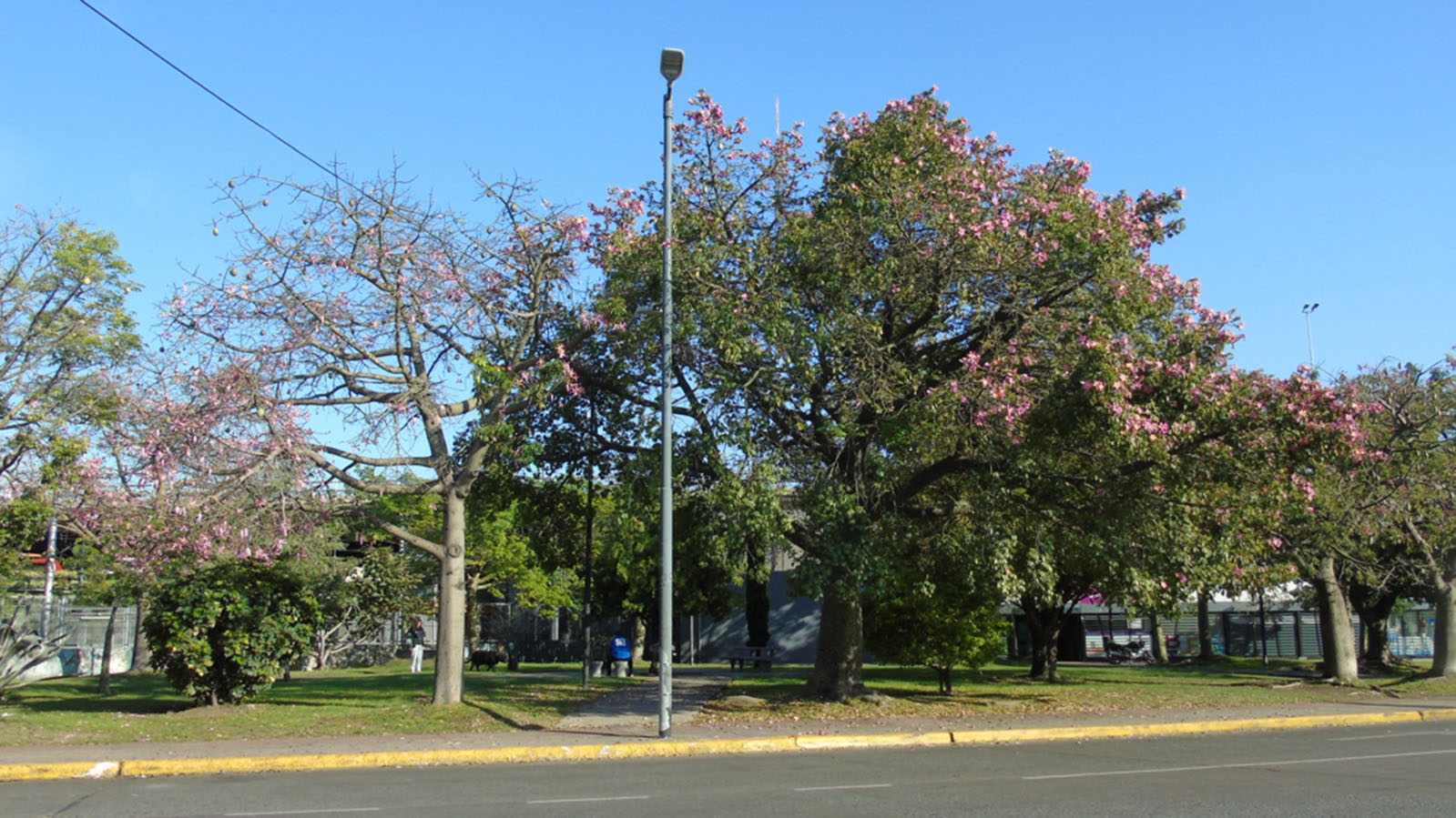 Plaza de los Virreyes