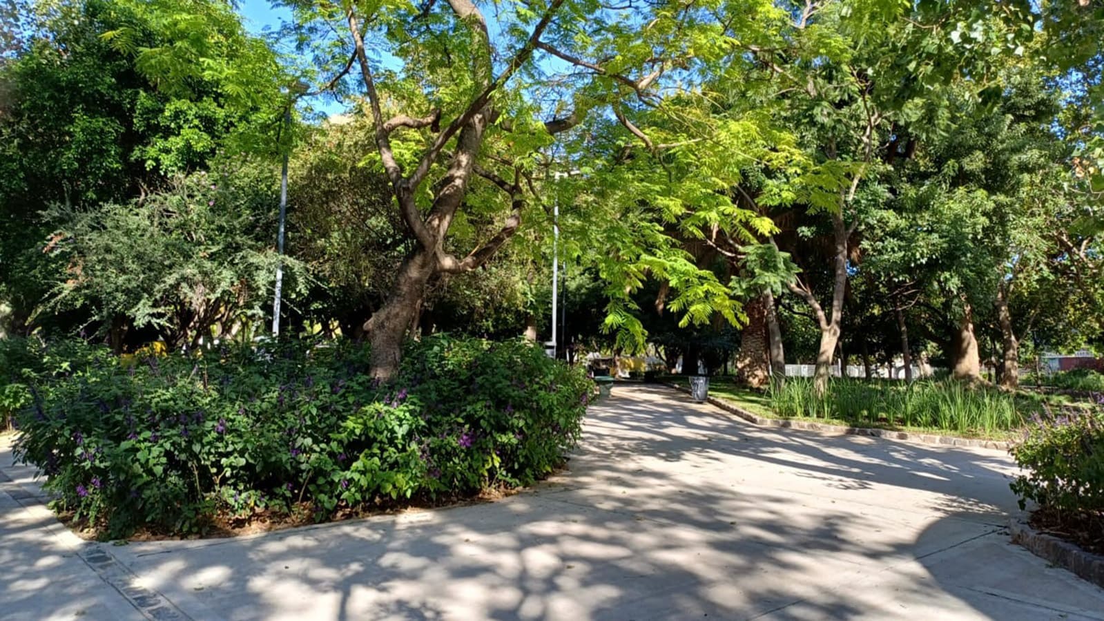 Plazoleta 29 de Diembre de 2001