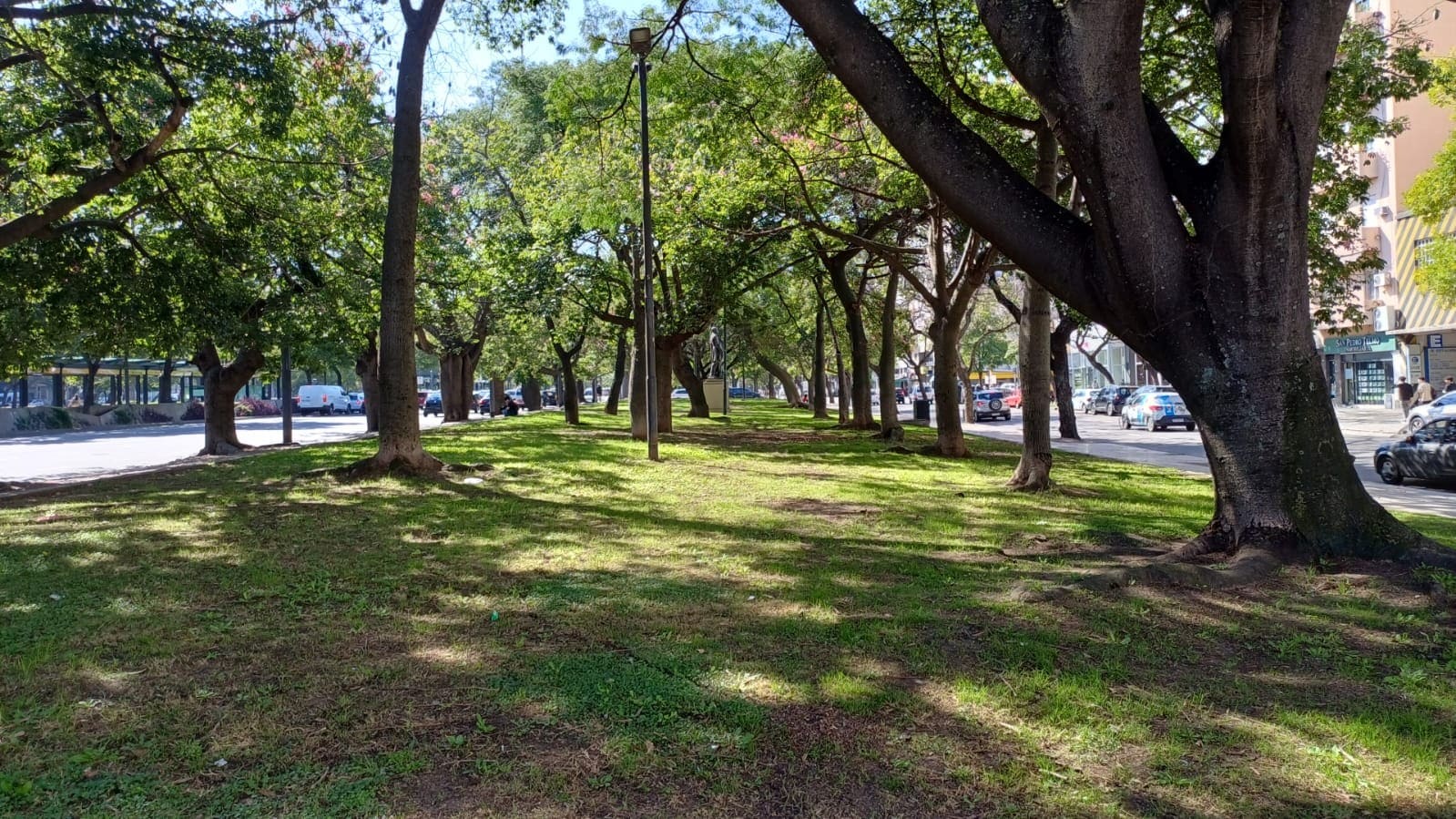 Imagen de galería 1