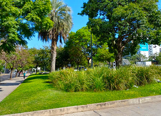 Cantero Central Provincia de Formosa