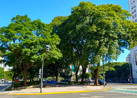 Cantero Central Provincia de Jujuy