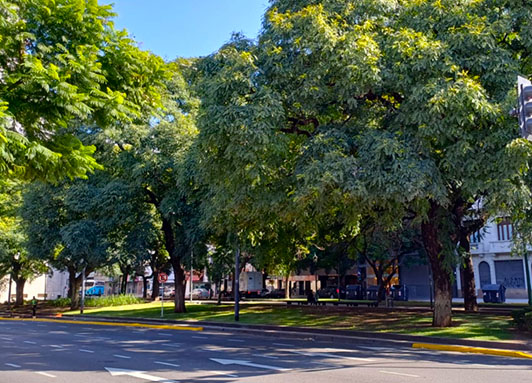 Cantero Central Provincia de La Pampa