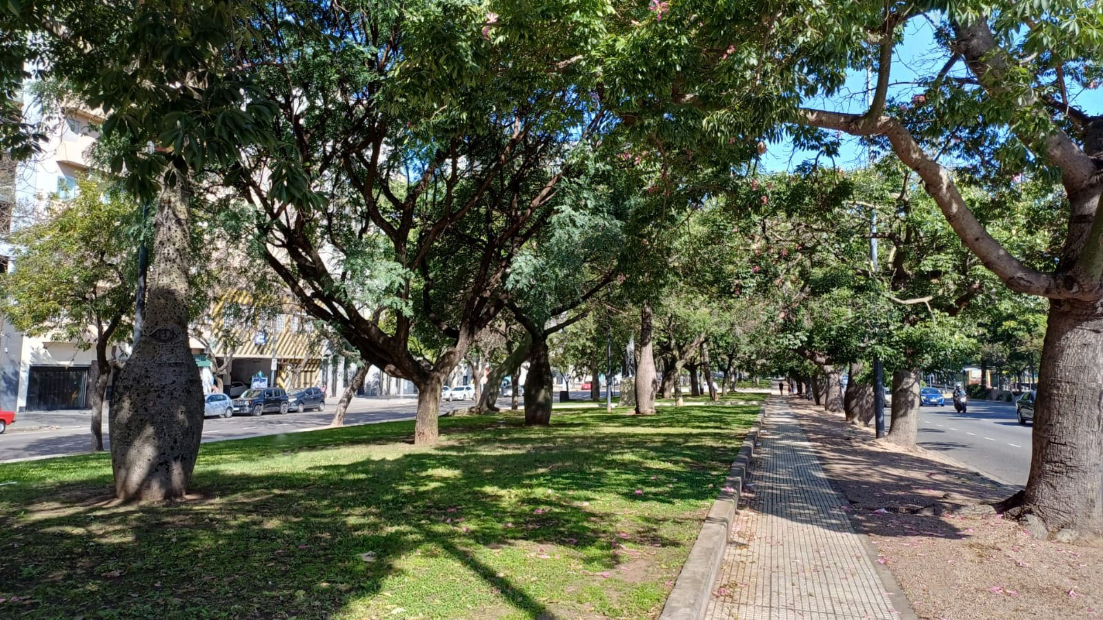  Cantero Central Provincia de Chubut