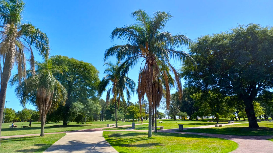 Imagen de galería 1