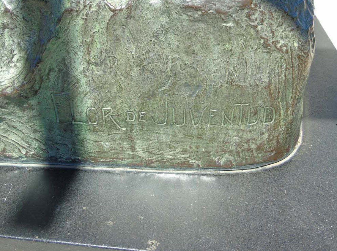 Flor de Juventud