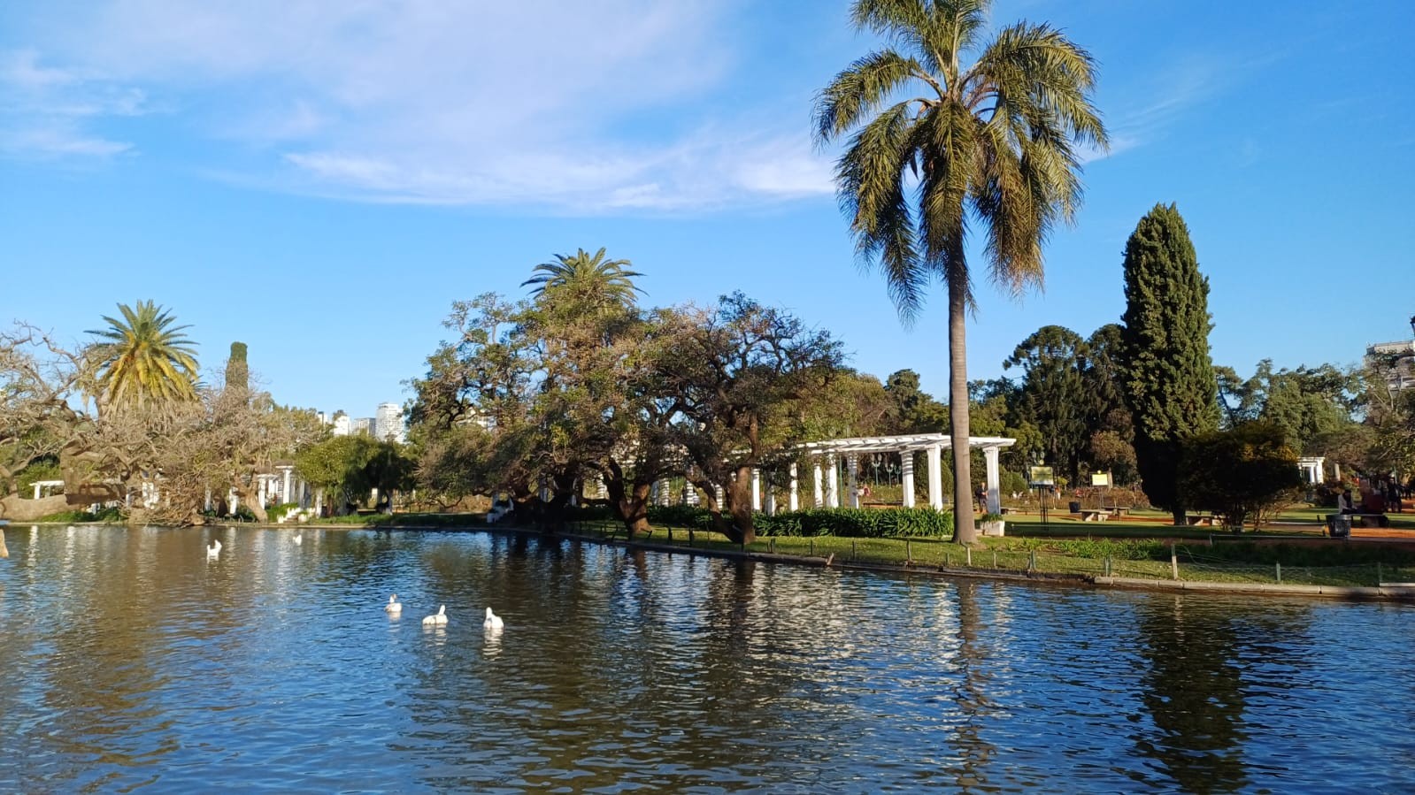 Parque 3 de Febrero - El Rosedal