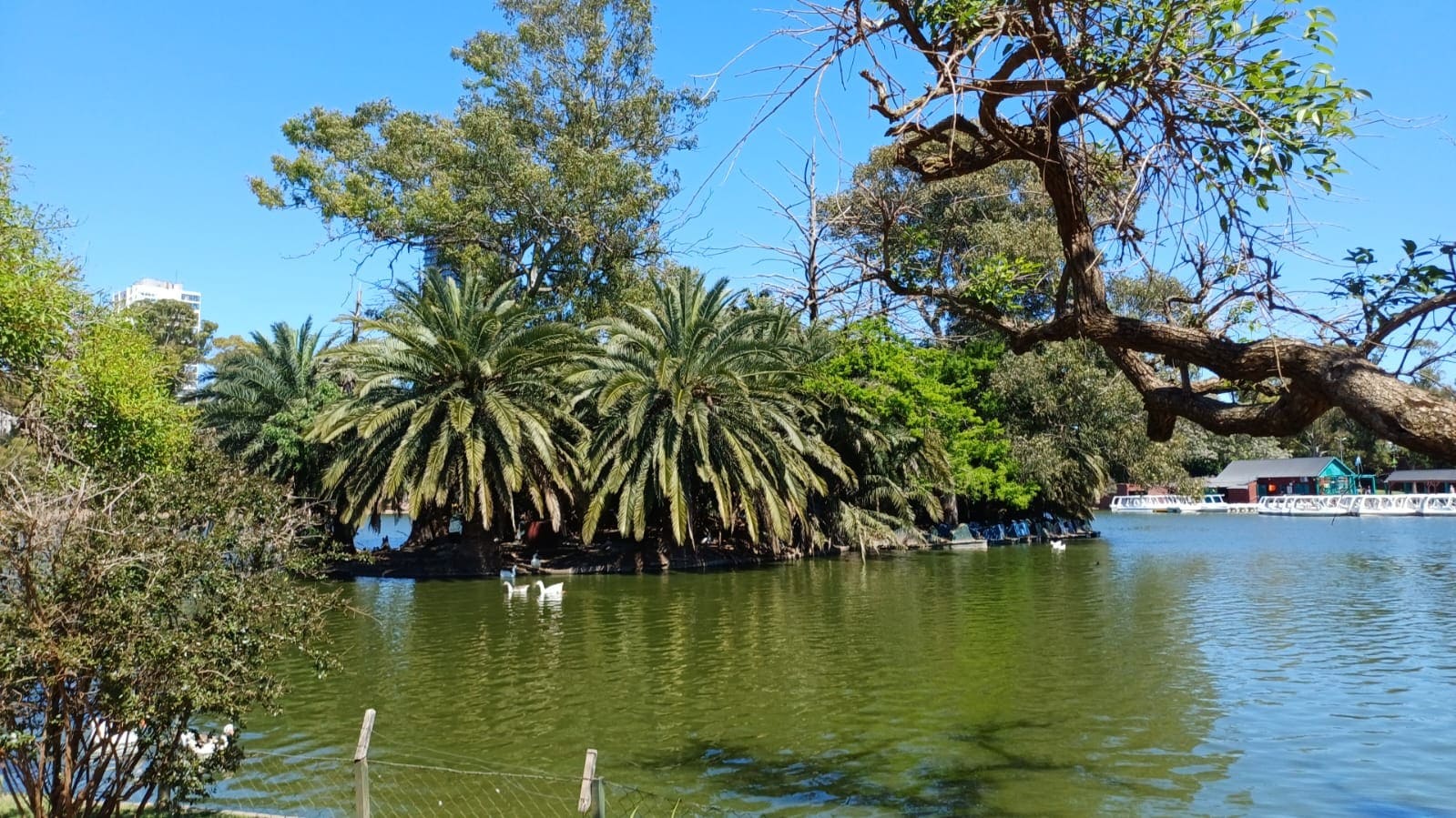 Parque 3 de Febrero - El Rosedal