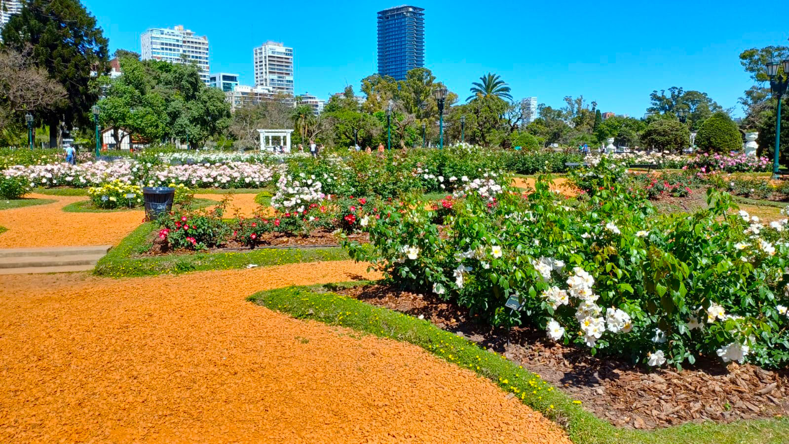 Parque 3 de Febrero - El Rosedal