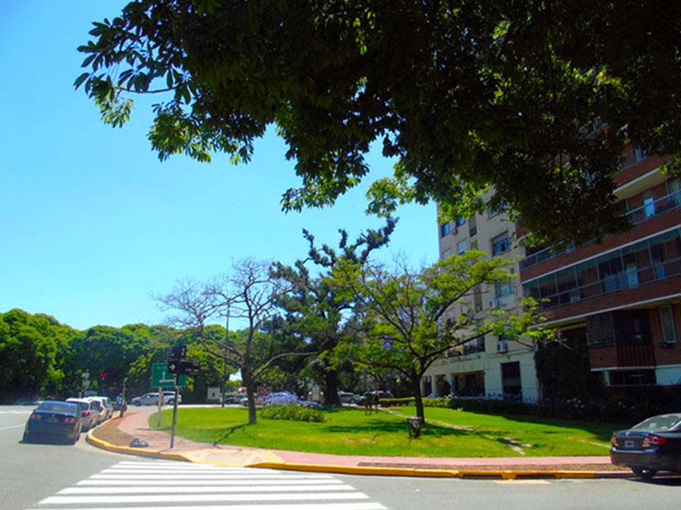 Plzta. Cesáreo B. de Quirós