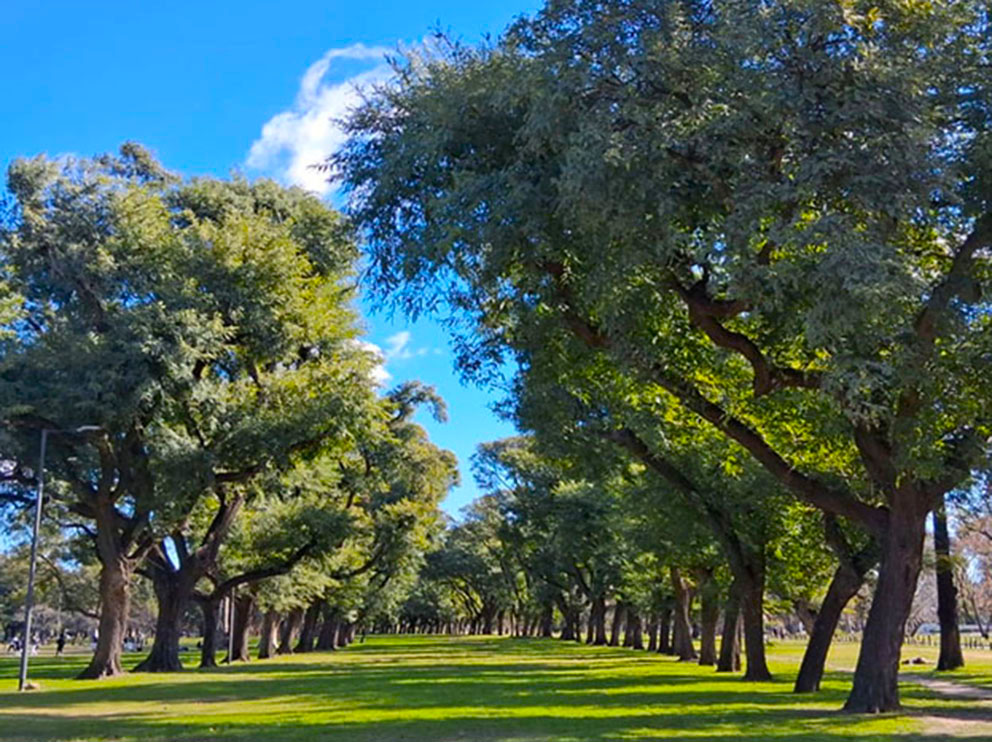 Plzta. Florencio Sánchez
