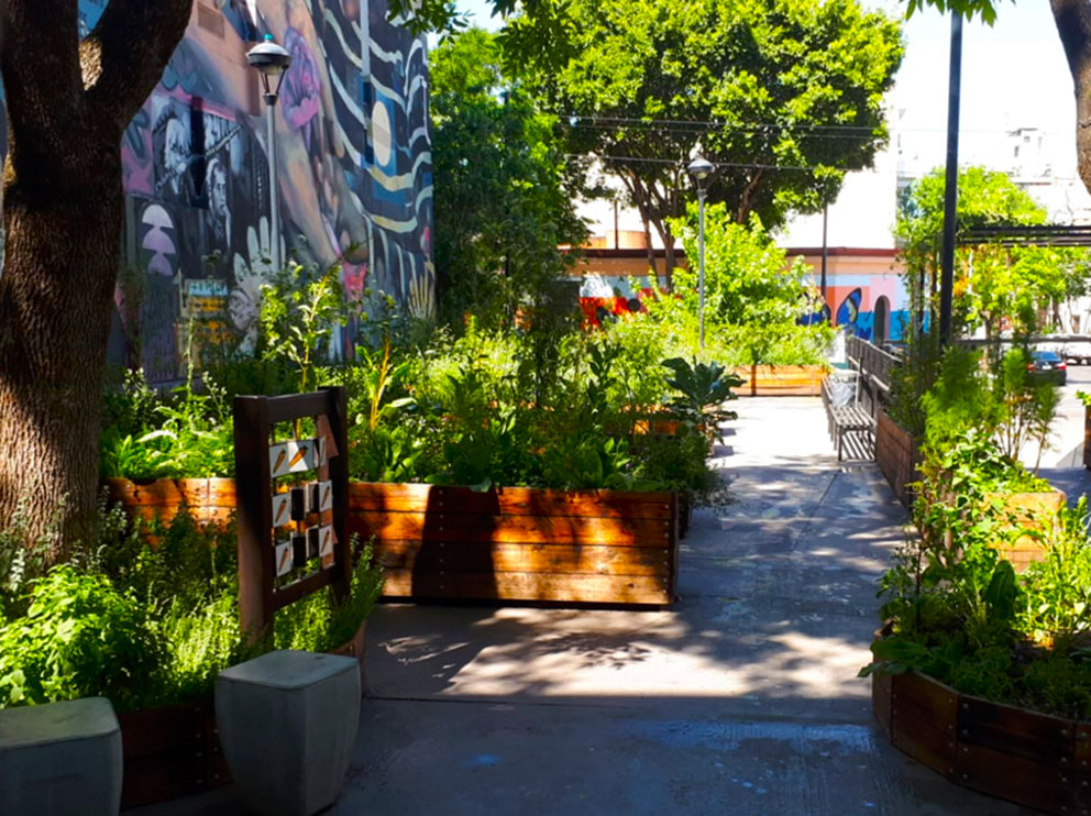 Plzta. Luna de Enfrente