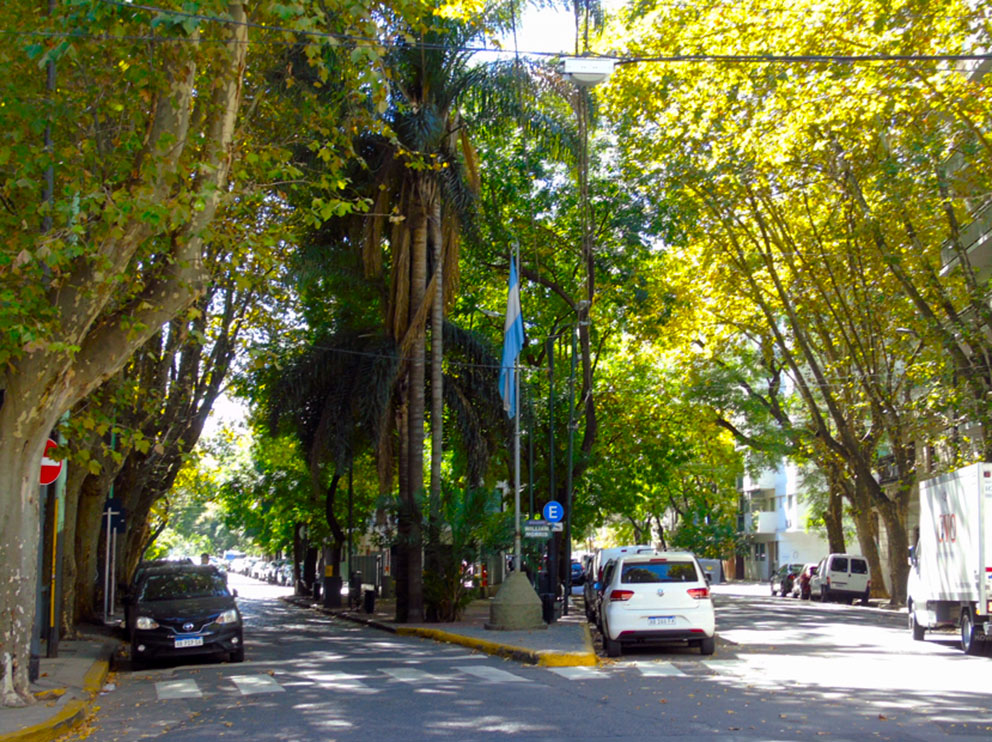 Plzta. William C. Morris