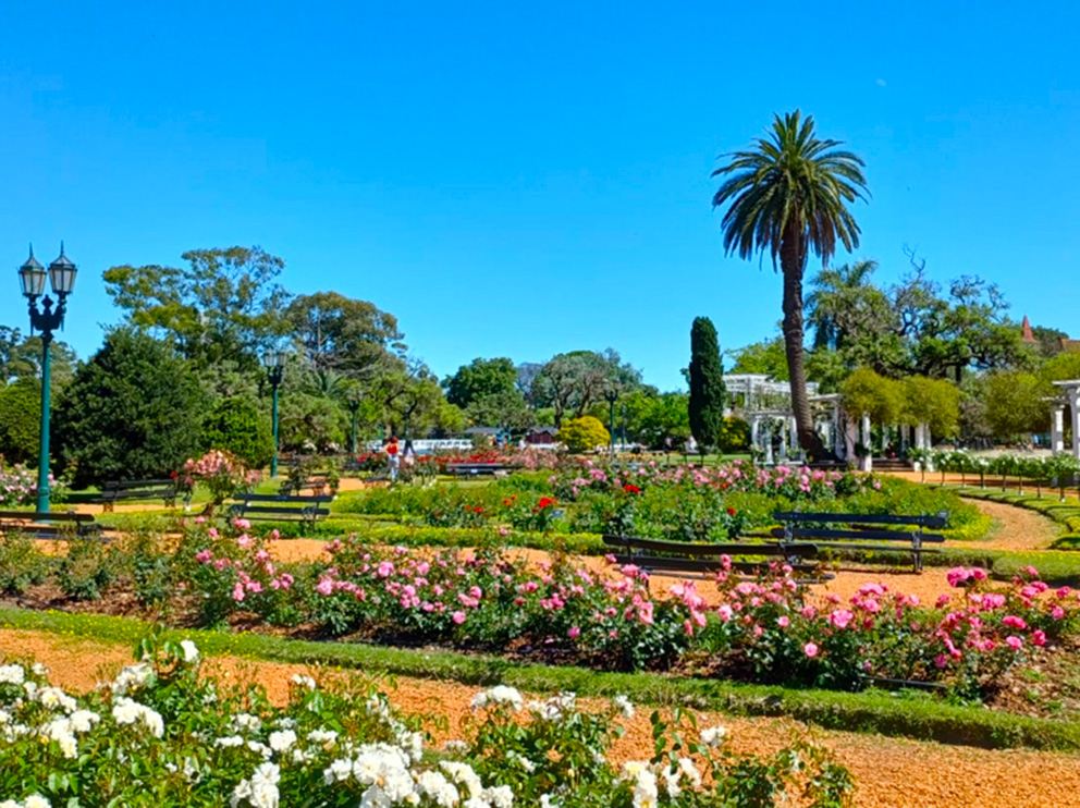 El Rosedal y alrededores