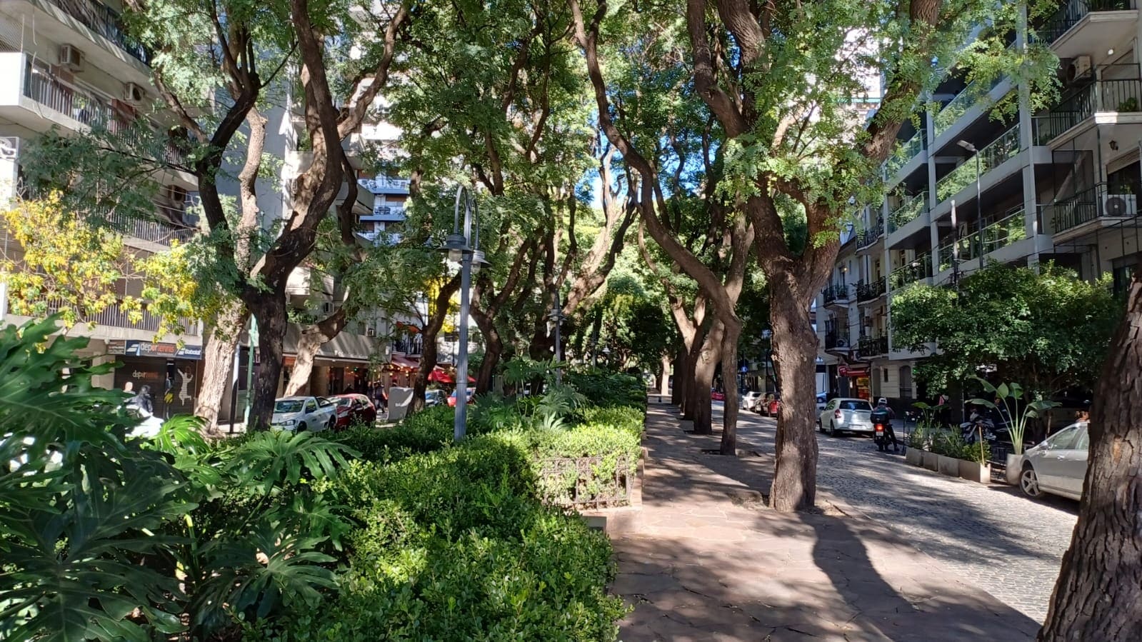 Cantero Central Dr. Emir Eduardo Mercader 