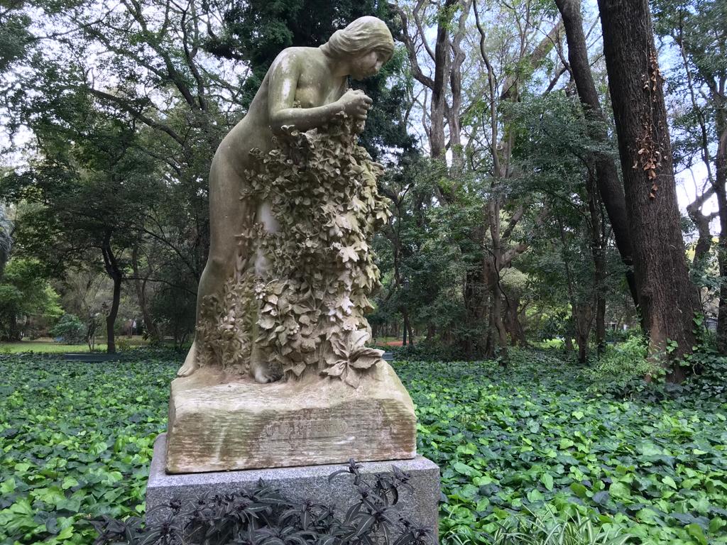 Flora indígena