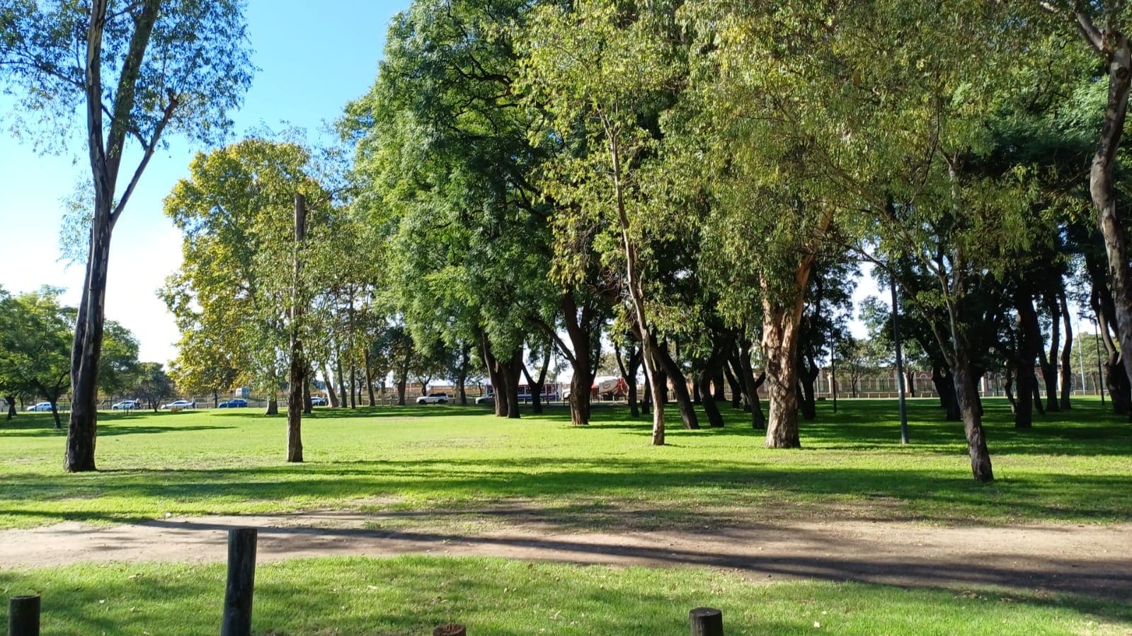 Imagen de galería 1