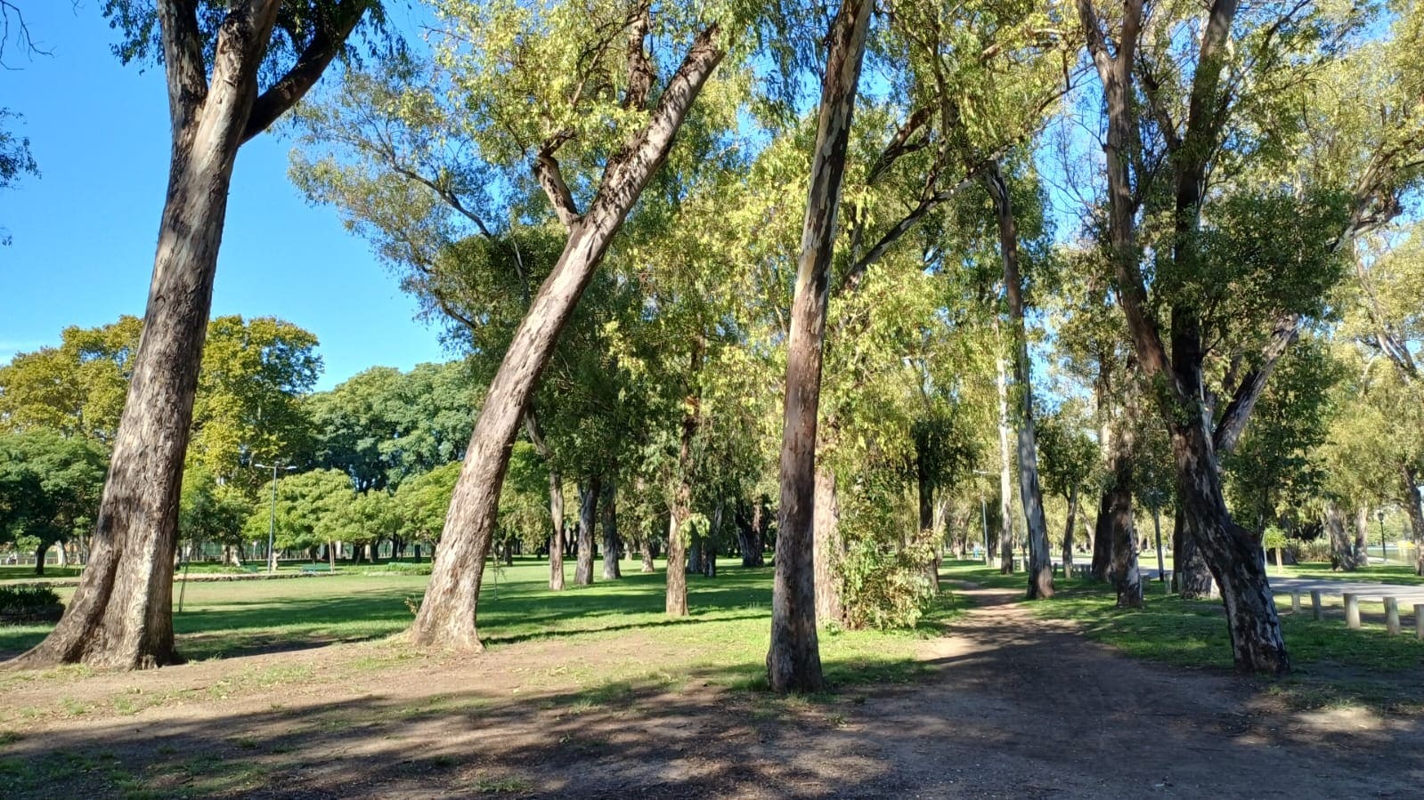 Imagen de galería 1
