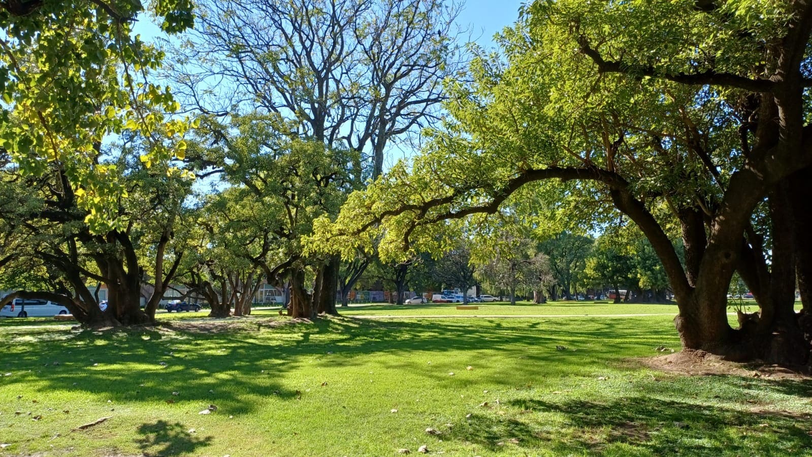 Imagen de galería 1